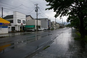 Tsuruokasakata04.JPG
