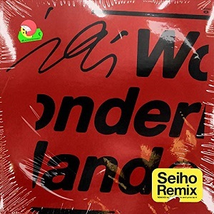 Wonderland remix.jpg